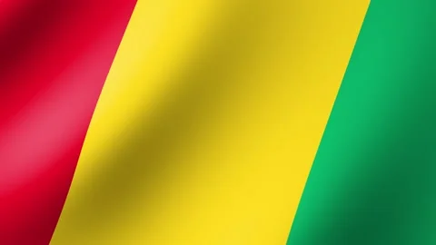 Flag of Guinea Flutters in the Wind. Seamless Animation 3d 動画素材 200838956
