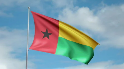 Flag of Guinea Video stock 442741