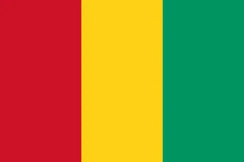 Flag of guinea Stock Illustration