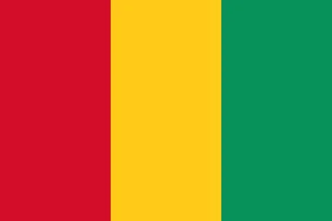 Flag of Guinea Stock Illustration