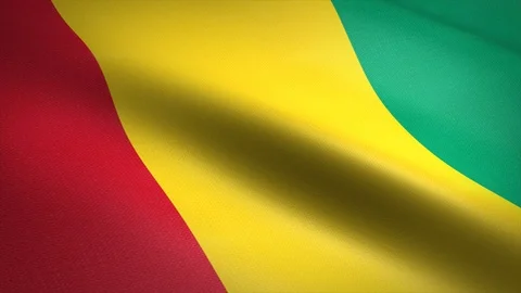 Flag of Guinea. Waving flag with highly detailed fabric texture seamless Stock Footage 121716768