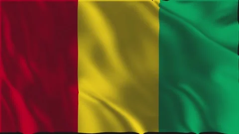 Flag of Guinea waving slowly Video stock 338354785