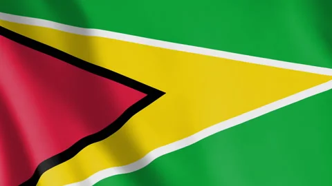 Flag of Guyana Animated Background Stock Footage 328584218