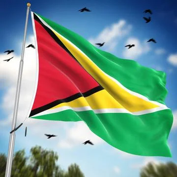 Flag of Guyana Flag of Guyana , This is a computer generated and 3d render... Foto stock