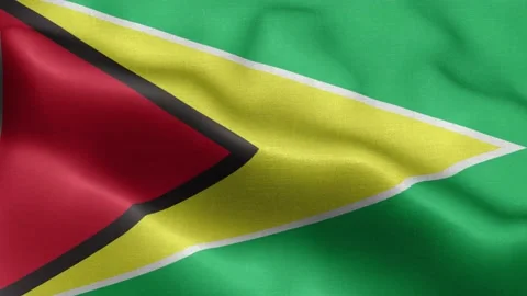 Flag of Guyana fluttering in the wind. Video stock 221877188