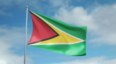 Flag of Guyana 動画素材 435617