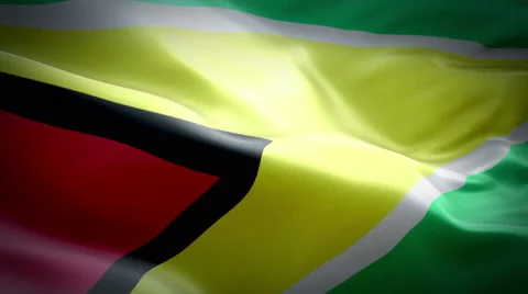 Flag of Guyana Stock Footage 47619007