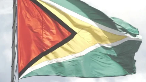 Flag of Guyana 스톡 동영상 85027203