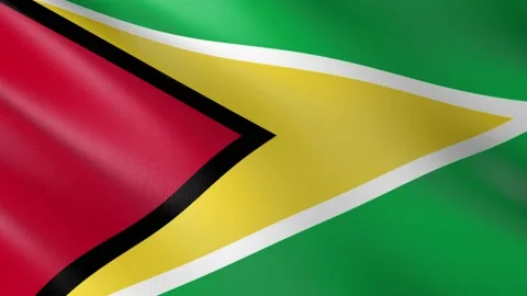 Flag of Guyana Stock Footage 151299695