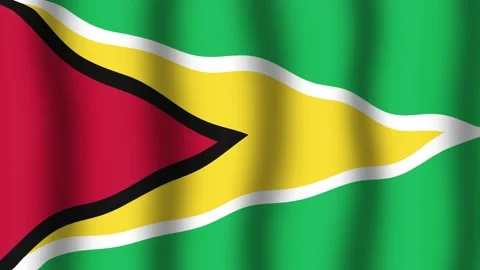 Flag of Guyana Stock Footage 175744235