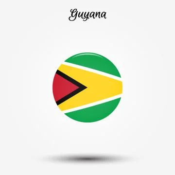 Flag of Guyana icon Stock Illustration