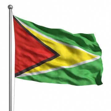 Flag of guyana Stock Illustration