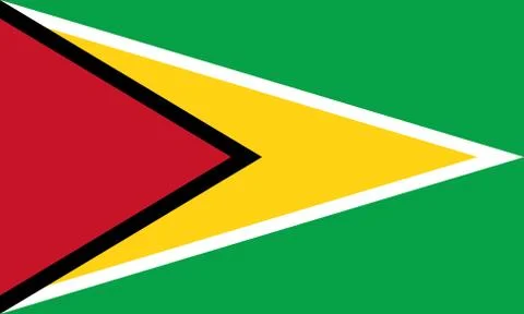 Flag of Guyana Stock-Illustration