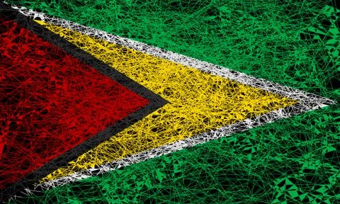 Flag of Guyana. Stock Illustration