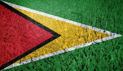 Flag of Guyana Illustrazione stock