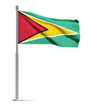 Flag of Guyana isolated on white background Stock Illustration