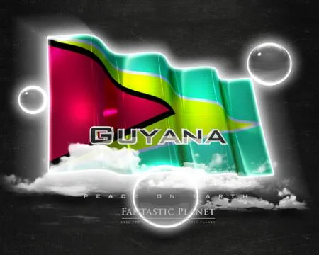 Flag Guyana quality designer flag 库存插图