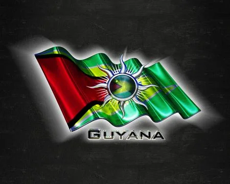 Flag Guyana quality designer flag Stock Illustration