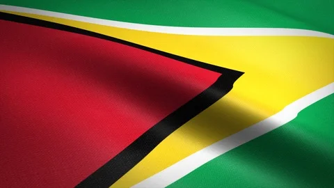 Flag of Guyana. Waving flag with highly detailed fabric texture seamless Stock Footage 120811040