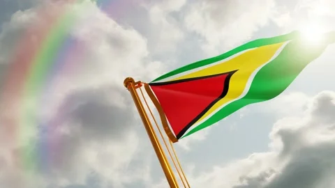 Flag of Guyana Waving, Realistic Animation, 4K UHD 60 FPS Slow-Motion Stock Footage 133036672