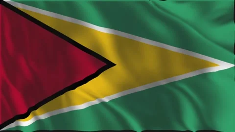 Flag of Guyana waving slowly Stock-Footage 340028560