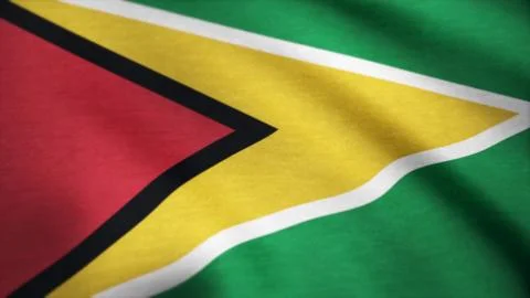 Flag of Guyana waving in the wind. Background of a waving flag Stock Illustration