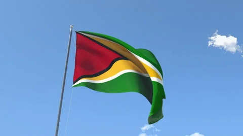 The flag of Guyana Waving on the Wind. Stock Footage 40978860