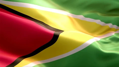 Flag of Guyana waving in the wind. Stock Footage 129247546