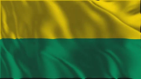 Flag of The Hague waving slowly Stock Footage 341968631