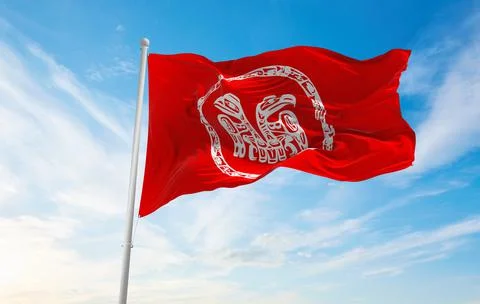 Flag of Haida , Canada at cloudy sky background on sunset, panoramic view. Ca Stock Illustration