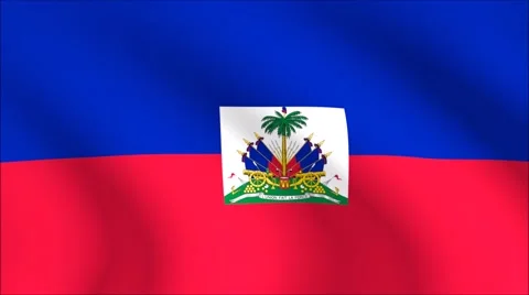 Flag of Haiti with gold embossed Stock Footage 65147972