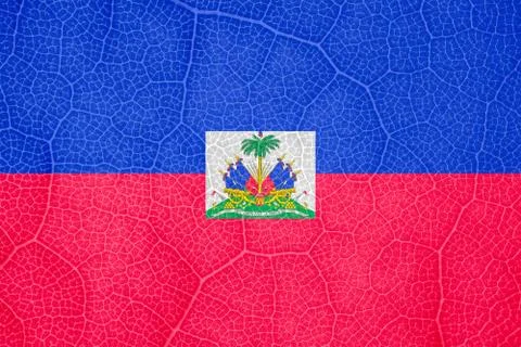 Flag of Haiti on the structure of a tree leaf macro 스톡 사진