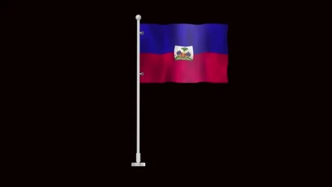 Flag of Haiti waving Stock Footage 320303604