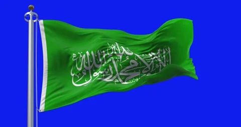 Flag of Hamas waving in the wind on blue screen 库存影片 260099733