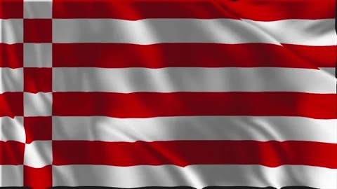 Flag of Hamburg waving slowly Stock Footage 341768618