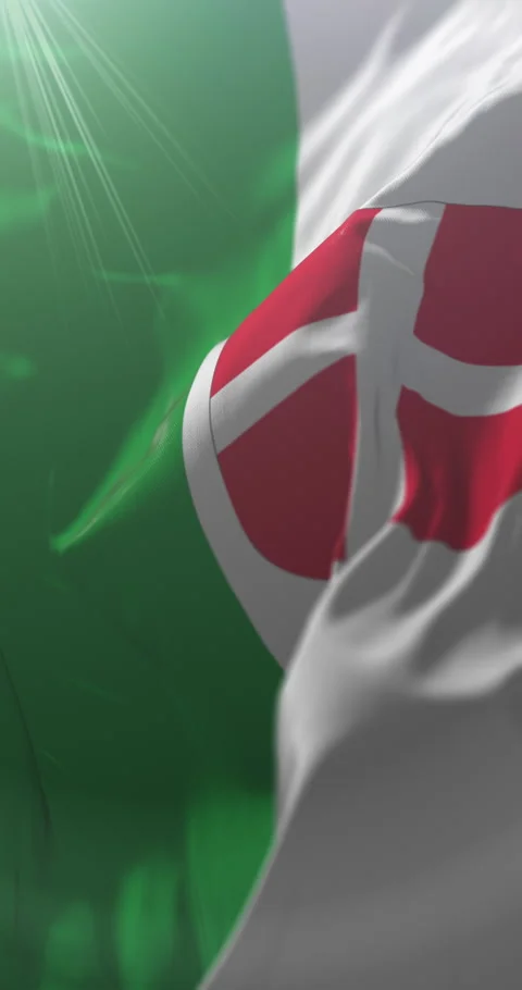 Flag of Harju County, Estonia. Loop. 4K Vertical Video stock 316585042