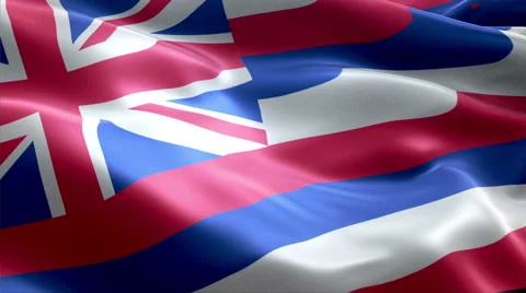Flag Hawaii Stock Footage