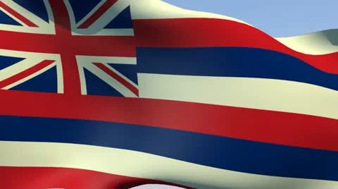Flag of Hawaii HD 스톡 동영상 14400006