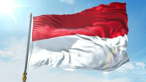 Flag of Hesse Stock Footage 343557276