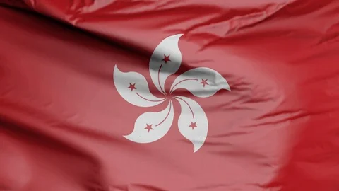 Flag of Hong Kong 3D Stock Footage 119061707