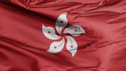 Flag of Hong Kong 3D Stock Footage 119062107