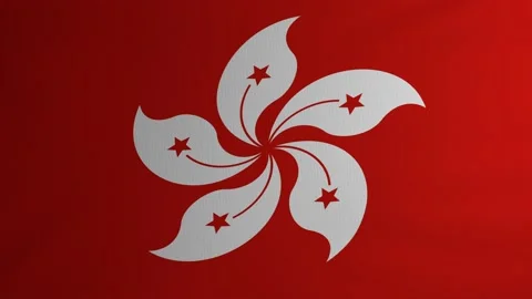 The flag of Hong Kong flutters in the wind. Symbol of statehood and sovereignty Stock Footage 239429338