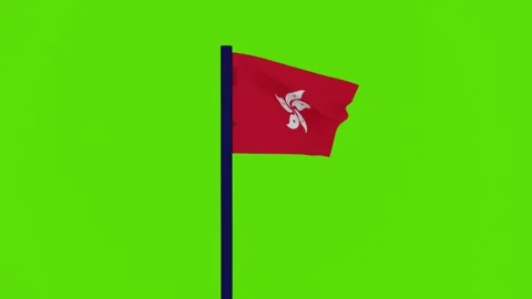 Flag of hong kong 스톡 동영상 256306244
