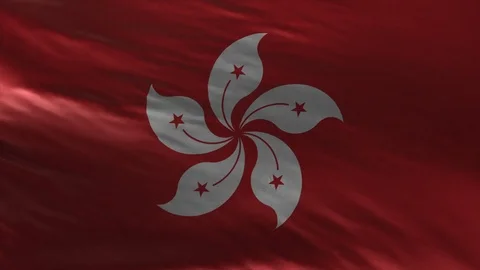 Flag of Hong Kong Loop Stock Footage 119062527