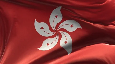 Flag of Hong Kong Loop Stock Footage 119062951