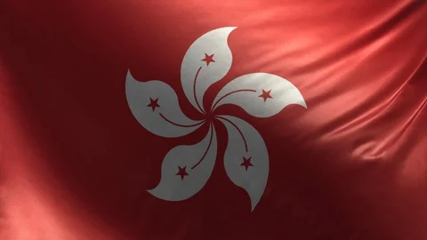 Flag of Hong Kong Loop Stock Footage 119063358