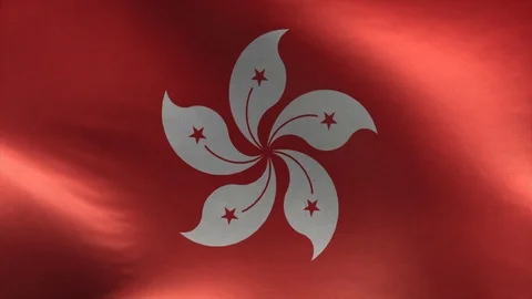 Flag of Hong Kong Loop Stock Footage 119063924
