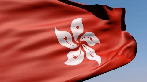 The Flag Of Hong Kong In The Sky Stock Footage 114641414