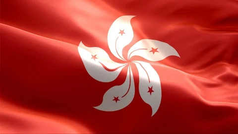 Flag of HongKong waving in the wind. Vidéo 129252510