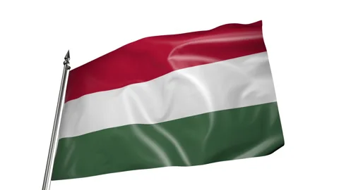 Flag of Hungary on a flagpole. Animation 3D on a white background 库存影片 219747189
